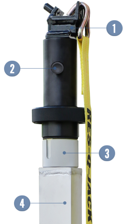 Features Close Up Apex